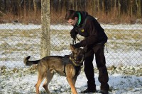 /album/a28-januara-2015/hax-zamat-28012015-01-jpg/